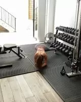 Plank Step Outs