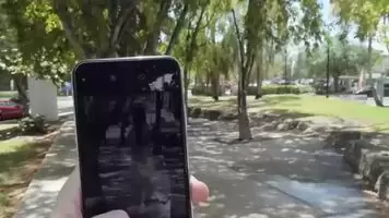Look At Those Tits Bounce