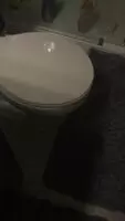 Morning cum