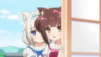 Little cat girls went all the way