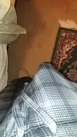 Could use a little attention...