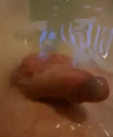 Quite the Gif'ed cock