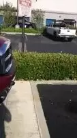 Outside treat
