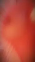 Big tits, big dick