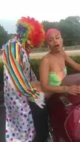 Over the hood