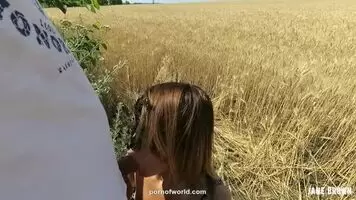 POV outdoor - sucks and fucks in field