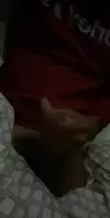 Shit quality, great cumshot. 😅😬
