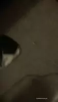 Asian Teen Tinder Date Fucks