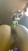 I love to have my pussy pounded with a plug in. Any takers?