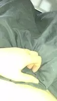 Morning “wood”