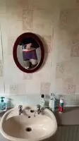 Who doesn’t love windmilling a bit soft cock