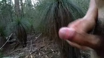 Fertilising the grass trees 🌿