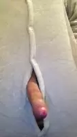 Precum in my pj’s