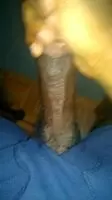 Just because I need help with this