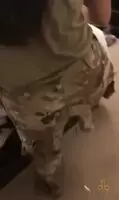 Army Girl