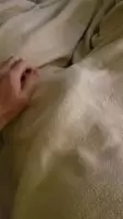 What happens in bed, stays in bed