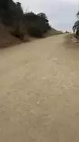 Lela Star out for a hike at Runyon Canyon in LA