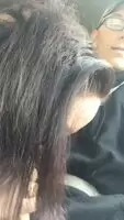 We had to pull over because i couldn’t wait to suck his cock