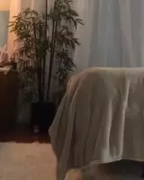 Surprise