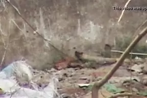 Indian Aunty Pissing