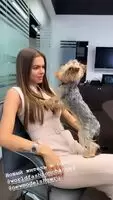 Who wants to be a dog?