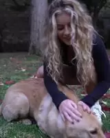 Bang ad