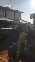 She told her dad sorry right before shaking her ass for us. Upvote if you want to see more of her