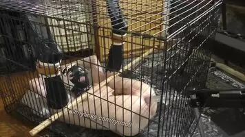 Caged with fuck machine