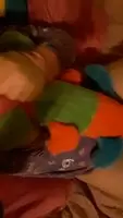 Playing with my caterpillar plushie