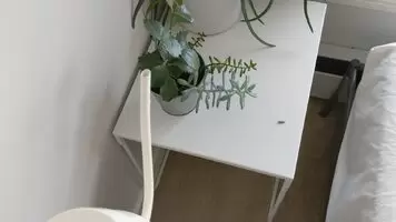 The plants need watering and so do I