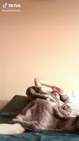 Leah gotti twerking in bed
