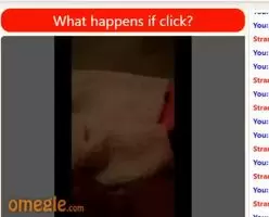 Got this, she played with me for 10 minutes