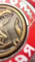 From her Tik Tok