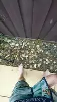 House mate won't get out of the bathroom, good excuse to piss outside.