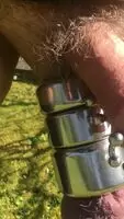 Outdoor swing
