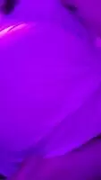 💜💜