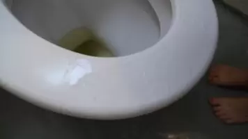 Made to lick my piss off the seat
