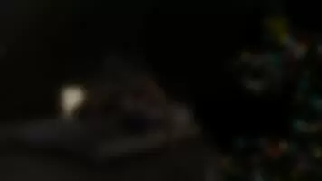 D.Va fucked doggystyle