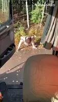 Side of highway