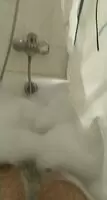 Bathing in Cum