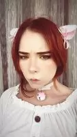 Angry kitten >:c