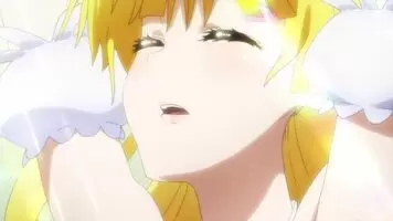 Megami Wings