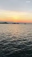 Enjoying the sea
