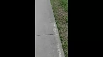 Feeling cooped up, so I went for a long walk. Thought I'd have a little fun along the way ;-)