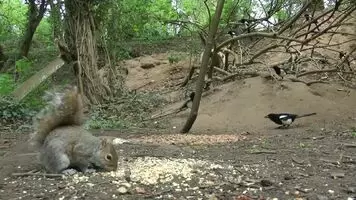 Lucky bastard