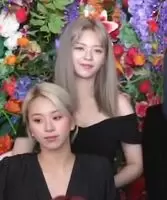 TWICE - Jeongyeon