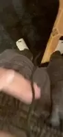 Hope you like em thicc 😏