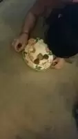 There's nothing wrong with reminding a slut of her place