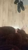 Feel like this belonged here