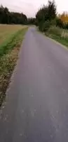 Having some fun while biking.